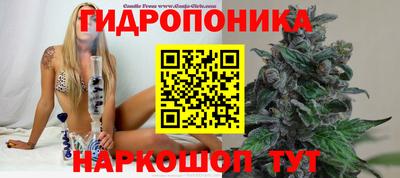 хмурый Шахты