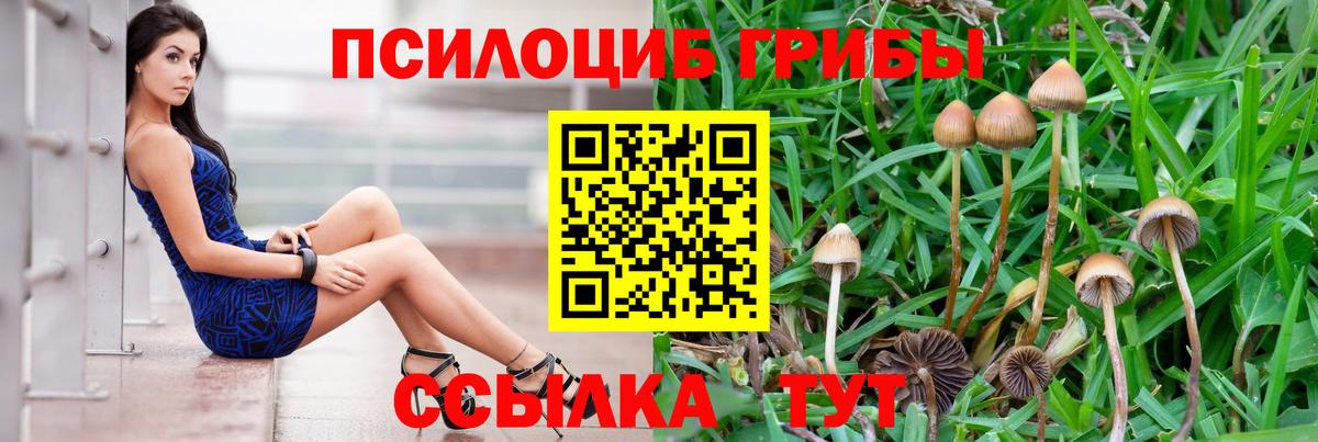 Белогорск  Галлюциногенные грибы Psilocybine cubensis  Вход с VPN 
